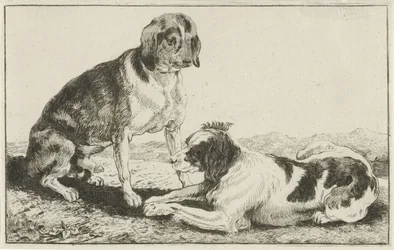 Dos perros descansando Animales (título de la serie) Zoographiam (título de la serie)