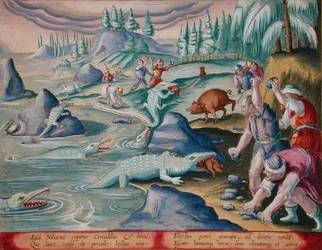 Captura de cocodrilos en las orillas del Nilo utilizando cerdos atados como cebo, lámina 87 de "Venationes Ferarum, Avium, Piscium" (De la caza: bestias salvajes, aves, peces) grabado por Jan Collaert (1566-1628) publicado por Phillipus Gallaeus de Amsterd