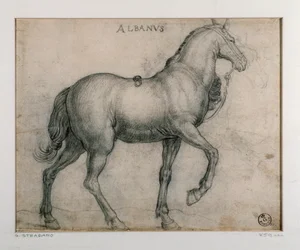 Estudio para un caballo