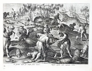 Excavando y capturando puercoespines, lámina 54, ilustración de 