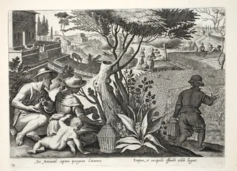Cazando codornices, ilustración de 