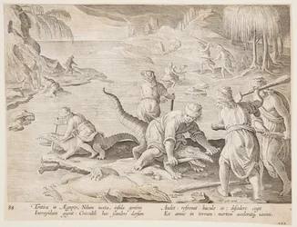 Caza de cocodrilos en Tentyra, en Egipto, lámina 30 de la serie Venationes Ferarum, Avium, Piscium