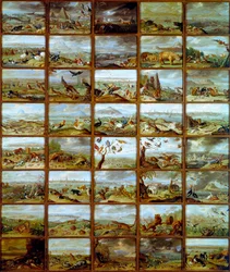 Animales. Tabla que muestra compartimentos correspondientes a diferentes especies animales. Pintura de Jan Van Kessel (1626-1679) siglo XVII Madrid, Museo del Prado