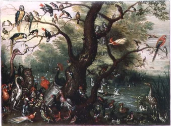Concierto de pájaros