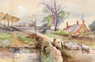 Un camino rural (acuarela)