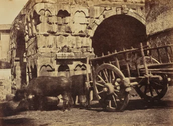 Carro de búfalos, Roma