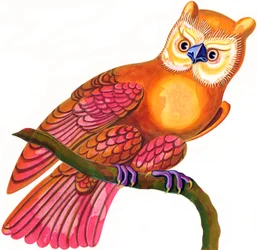 Búho