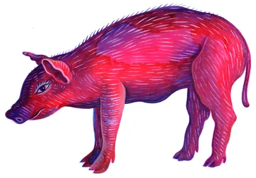 Cerdo