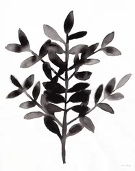 Botánico con helecho Nagi III (tinta sobre papel)