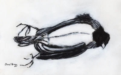 Pájaro muerto junto a mi escalera, c.2018 (carboncillo y gesso sobre papel)