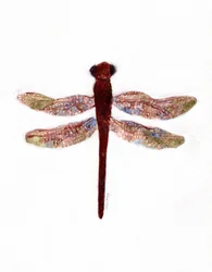 Libélula en Creekside Lane, c.2019 (acuarela sobre papel)