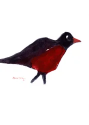 Robin Red Breast Hunting, 2023 (acuarela sobre papel)