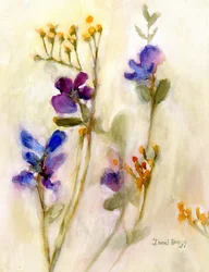 Sweet Pea Floral para Cierra, c. 2020 (acuarela sobre papel)