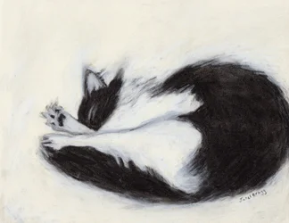 Thomas Taking a Nap, c.2018 (carboncillo y pastel sobre papel)