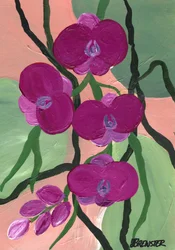 Flores de orquídea magenta
