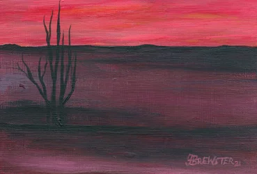 Crepúsculo rosa en el desierto