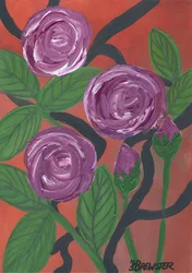 Florecen las rosas moradas