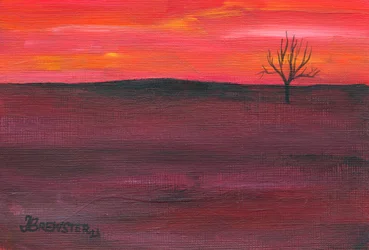 Árbol solitario al atardecer