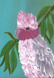 Cacatúa rosa vibrante