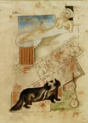 Gato y doncella flotante
