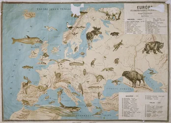 Mapa de los animales de Europa