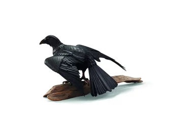Una escultura articulada de hierro de un cuervo