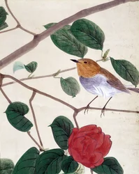 Pájaro y flores. Dibujo japonés de Riou Chim, finales del siglo XIX