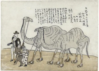 Camello con cuidadores, publicado en 1821