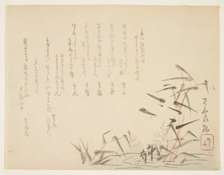 Garzas y juncos