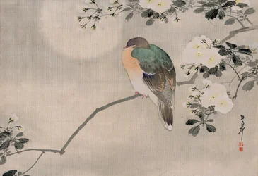 Pintura Japonesa de Seda de una Paloma Torcaz