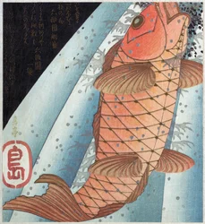 Carpa koi; pub. c. 1820