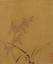 Orquídeas