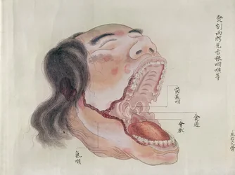 La anatomía de la boca, de la disección de una víctima de tortura de 1796, de un makimono de un médico Midori, 1842