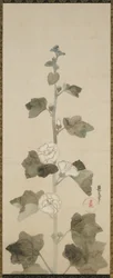 Alcachofas blancas, período Edo, 1615-1868