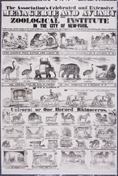 La célebre y extensa colección de la Asociación de Menagerie y Aviary de su Instituto Zoológico en la Ciudad de Nueva York