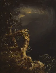 Árbol destrozado