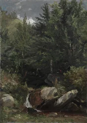 Árboles y un arroyo en una ladera