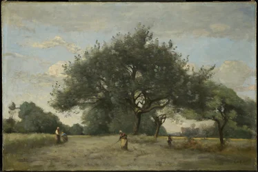 Manzanos en un campo