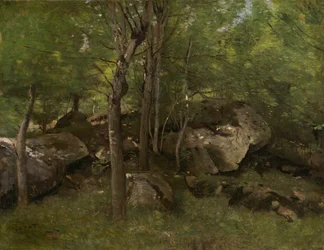 Rocas en el bosque de Fontainebleau