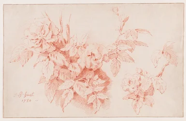 Rosas