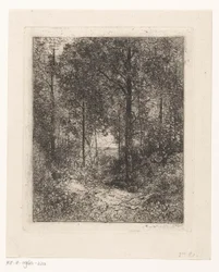 vista al bosque