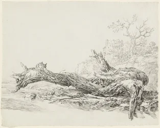 Un Árbol Antiguo Caído Junto a un Arroyo