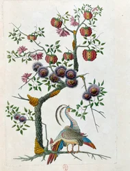 Dibujo de un jarrón chino: pájaro y rama de flores