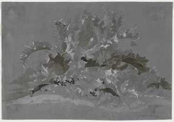 Estudio de malezas, 1800-1850
