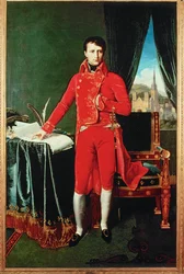 Napoleón I Bonaparte (pintura sobre lienzo)