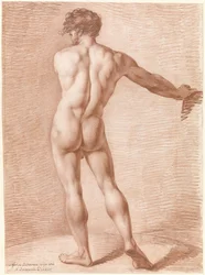 Estudio de la figura del desnudo de pie