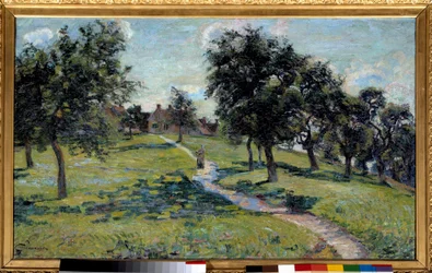 Paisaje en Normandía: manzanos