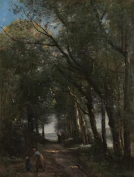 Un camino entre los árboles