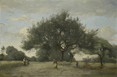 Manzanos en un campo