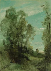 Paisaje arbolado (mañana)